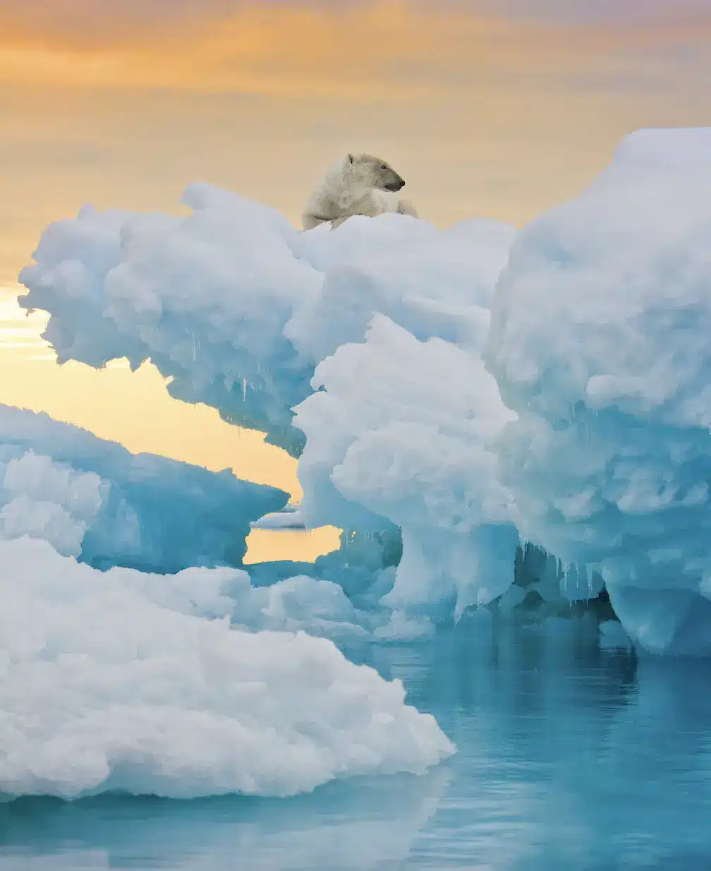 Baffin Island, in the Arctic of Canada.